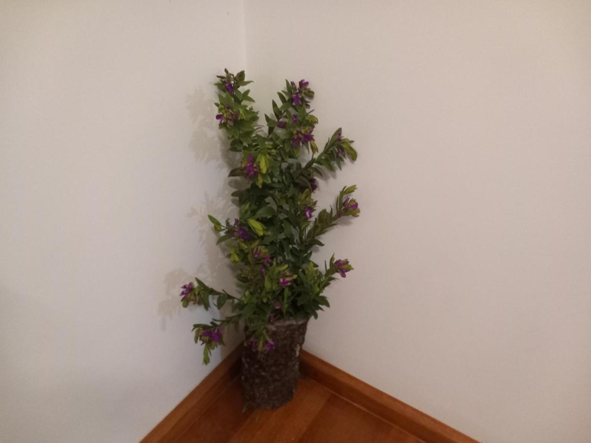 Cantinho Da Aldeia Vila Facaia 외부 사진